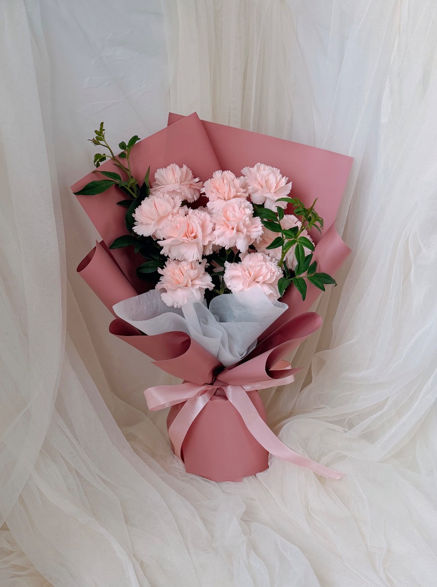 Blush Carnation – photo 2