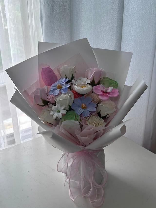 Spring Daydream 春日梦游