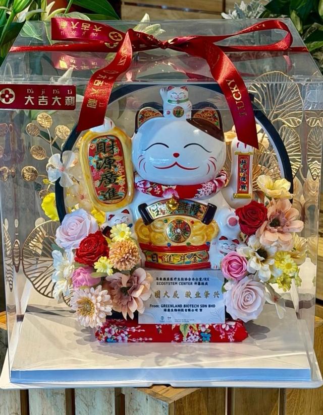Big Classic Fortune Cat Opening Gift Box