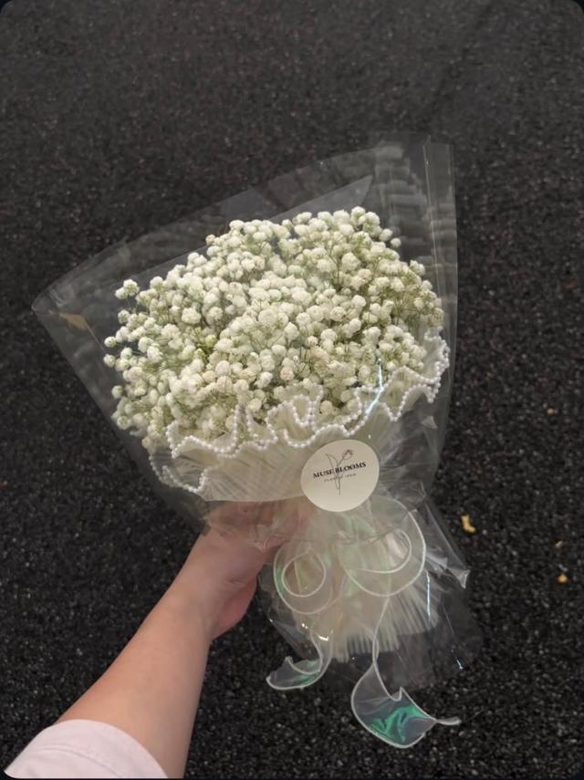 Baby Breath White