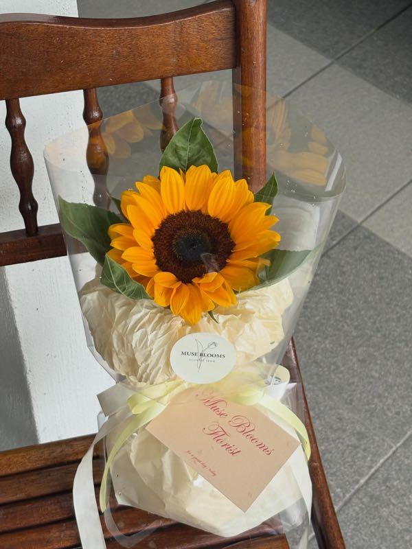 Single Sunflower Gift