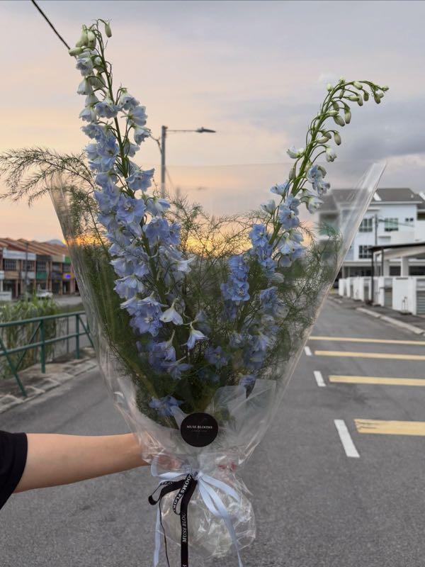 Blue Delphinium & Pampas Bouquet