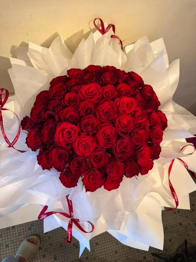 66PCS RED ROSE